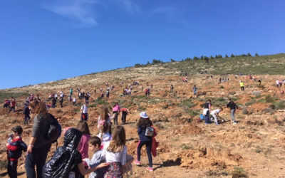 Η VOM σε δενδροφύτευση στην Πεντέλη